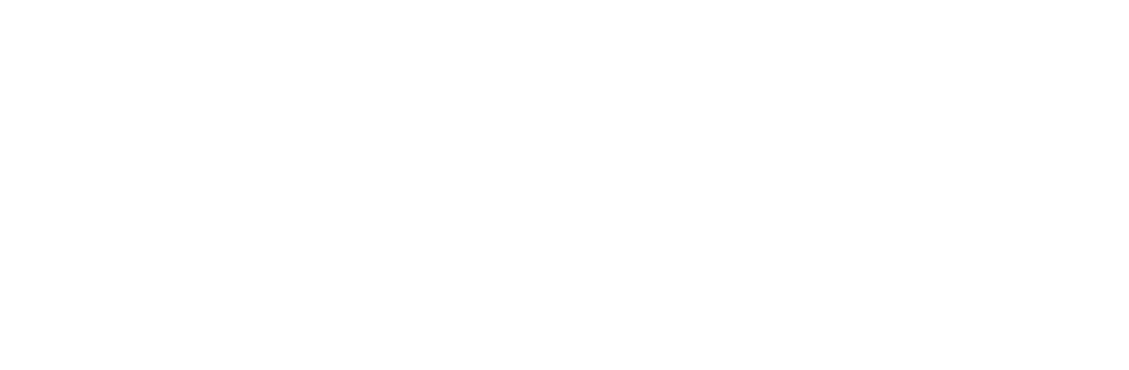 Openpaye